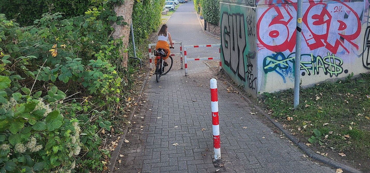 Umlaufsperre (Drängelgitter) am Zamenhofweg Zu sehen ist der Verbindungsweg zwischen Zamenhofweg und Siedlerweg. Auf dem Weg ist sowohl ein Steckpfosten (Poller) als auch eine Umlaufsperre (Drängelgitter) angebracht.