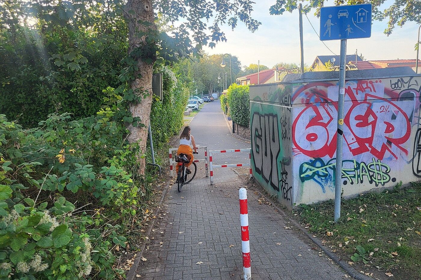 Umlaufsperre (Drängelgitter) am Zamenhofweg Zu sehen ist der Verbindungsweg zwischen Zamenhofweg und Siedlerweg. Auf dem Weg ist sowohl ein Steckpfosten (Poller) als auch eine Umlaufsperre (Drängelgitter) angebracht.