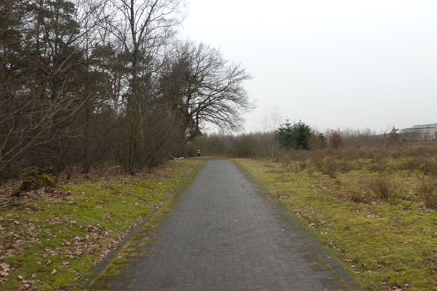 Wirtschaftsweg bei Nievenheim