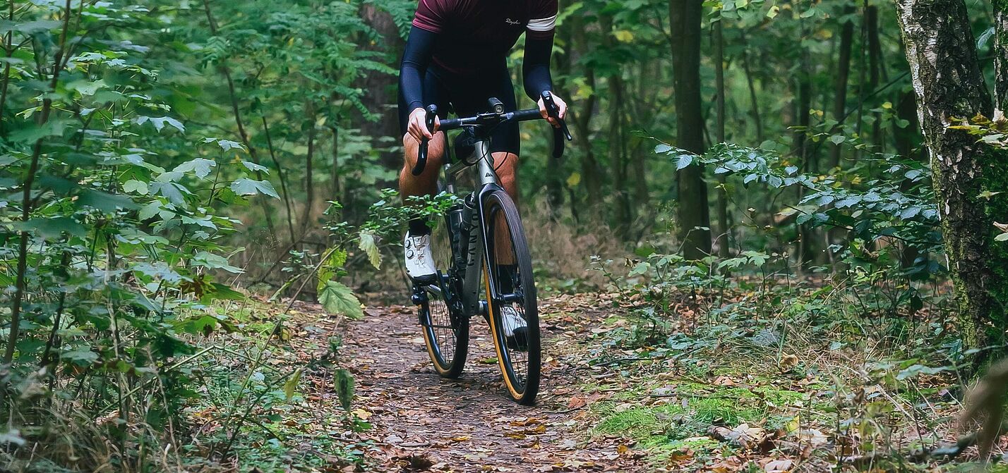 Gravelbiker im Wald Ein Gravelbiker fährt auf einem schmalen Waldpfad.